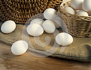 fresh white chicken eggs