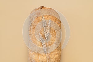 Fresh white classic wheat bread ciabatta, wheat ears and grains on beige background top view. Bread making, bakery, healthy food.