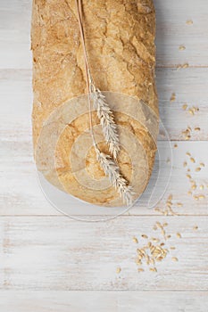 Fresh white classic wheat bread ciabatta, wheat ears and grains on white wooden background top view. Bread making, bakery, healthy