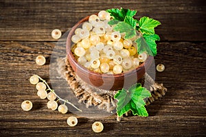 Fresh white currant in ceramic bowl on dark wooden background.