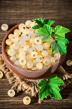 Fresh white currant in ceramic bowl on dark wooden background.