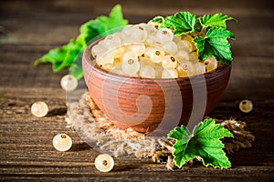 Fresh white currant in ceramic bowl on dark wooden background.