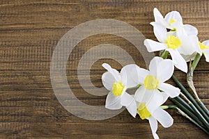 Fresh white daffodils isolated on a wooden background. Bouquet of daffodils. Spring flowers. Banner. Copy space