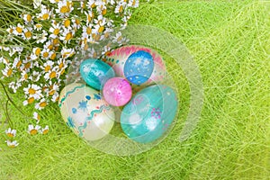 Fresh white daisies with easter eggs and sun rays