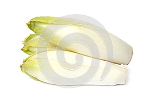 Fresh white endives \'Cichorium intybus\' isolated photo