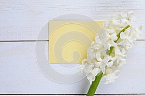 Fresh white flowers hyacinths in ray of light and a sheet of paper on a white wooden table, a love letter. Place for text.