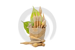 Fresh white galingale  finger root Thai herbs to prevent covid-19.