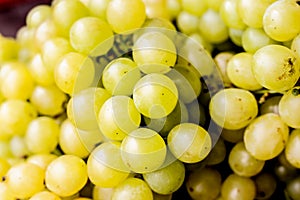 fresh white grapes