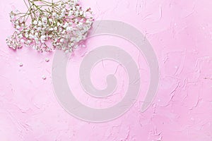 Fresh white gypsofila  flowers  on  pink textured background photo