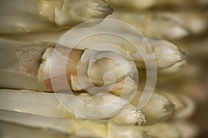 Fresh white harvested asparagus close up texture pattern