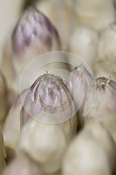 Fresh white harvested asparagus close up texture pattern