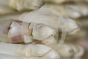 Fresh white harvested asparagus close up texture pattern