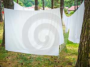 Fresh white laundry hanging on a washing rope between pine trees outdoor in a summer camp in a forest, close up photo