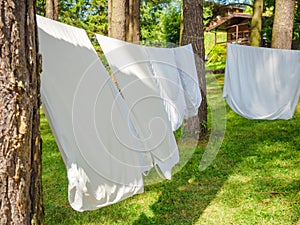 Fresh white laundry hanging on a washing rope between pine trees outdoor in a summer camp in a forest, close up photo
