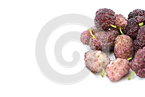Fresh white mulberries
