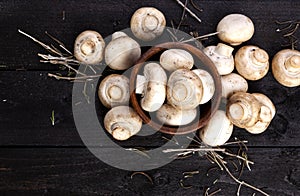 Fresh white mushrooms champignon on black wooden background. Top view. Copy space.