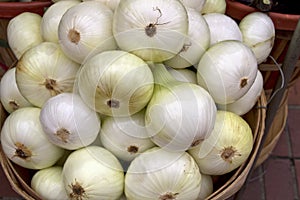 Fresh White Onions