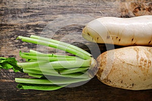 Fresh white radish. Radish is root vegetable has a lot of health