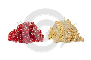 Fresh white and red currants