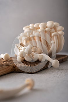 Fresh white shimeji mushrooms on gray background