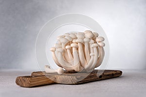 Fresh white shimeji mushrooms on gray background