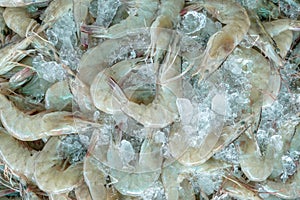 Fresh white shrimps on crushed ice for sale in market. Raw prawns for cooking in seafood restaurant. Sea food industry. Shellfish