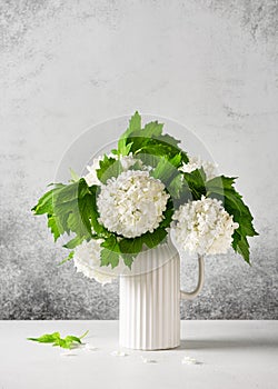 Fresh white snowball flowers in ceramic vase on rustic stone background.