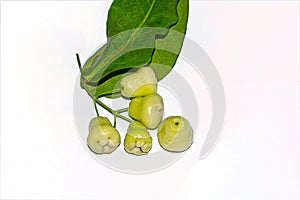 Fresh white Syzygium samarangense or wax apple or jamrul fruit on white isolated background with green leaves