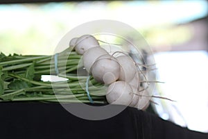 Fresh White Vegetables on table at Farmer`s Market in West Tennessee