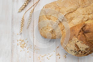 Fresh white wheat bread, round classic, ciabatta, french baguette, wheat ears and grains on white wooden background top view.