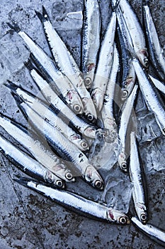 Fresh whitebait on ice