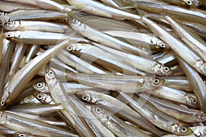 Fresh whitebait, japanese smelt