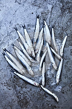 Fresh whitebait on stone background photo