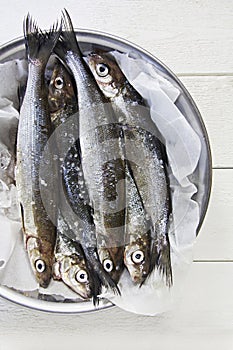 Fresh Whitefish photo