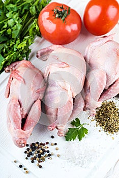 Fresh whole bird of quail