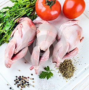 Fresh whole bird of quail