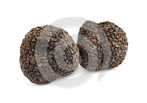 Fresh whole black truffles isolated on white