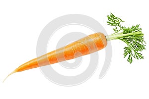 Fresh Whole Carrot Isolated on White
