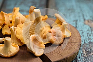 Fresh whole chanterelle forest mushrooms on wooden plate on old