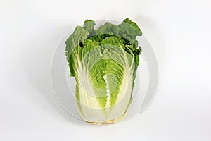 Fresh whole chinese cabbage isolated on a white background.