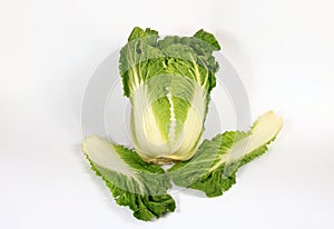 Fresh whole chinese cabbage isolated on a white background.