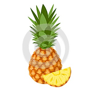 Fresh whole and cut slice pineapple fruit isolated on white background. Summer fruits for healthy lifestyle. Organic fruit.