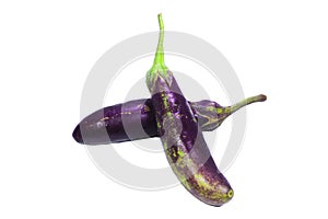 Fresh whole eggplants Isolated with clipping path on a white background
