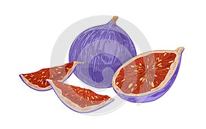 Fresh whole fig and pieces, cut half and quarters with juicy fleshy pulp with seeds. Exotic tropical purple fruits in