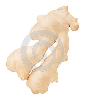 Fresh whole ginger isolated on a white background