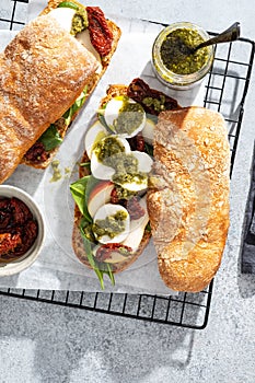 Fresh whole grain bun with tomato, pesto and mozarella. Copy space.