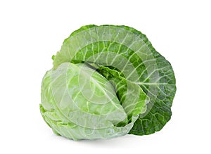 Fresh whole green pointed cabbage isolated on white backgroun
