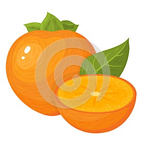 Fresh whole and half cut persimmon fruits isolated on white background. Summer fruits for healthy lifestyle. Organic