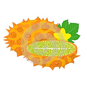 Fresh whole and half cut yellow kiwano fruit isolated on white background. Summer fruits for healthy lifestyle. Organic