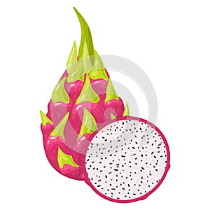 Fresh whole and half red pitaya fruits isolated on white background. Summer fruits for healthy lifestyle. Organic fruit. Cartoon